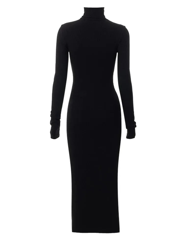 Black Turtleneck Long Sleeve Maxi Dress