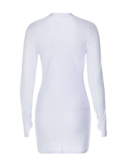 White Turtleneck Front Zip-Up Long Sleeve Mini Dress