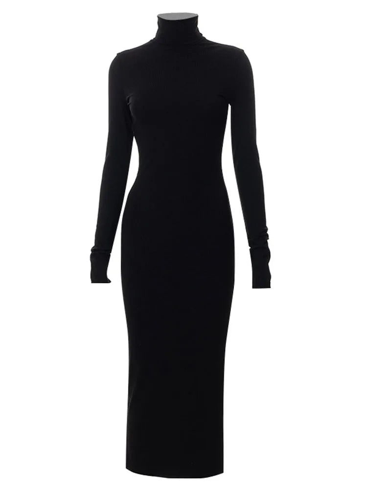 Black Turtleneck Long Sleeve Maxi Dress